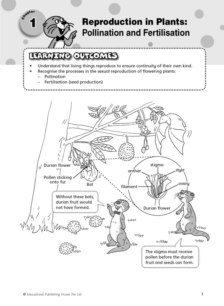 P5 Must Know Science Process Skills And Key Words Eph 0883